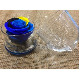 Forever Roses - Plate Vase
