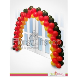 Stylish Colored Entrance Balloons