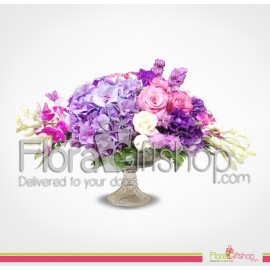 Magic of Orchids and Hortensia