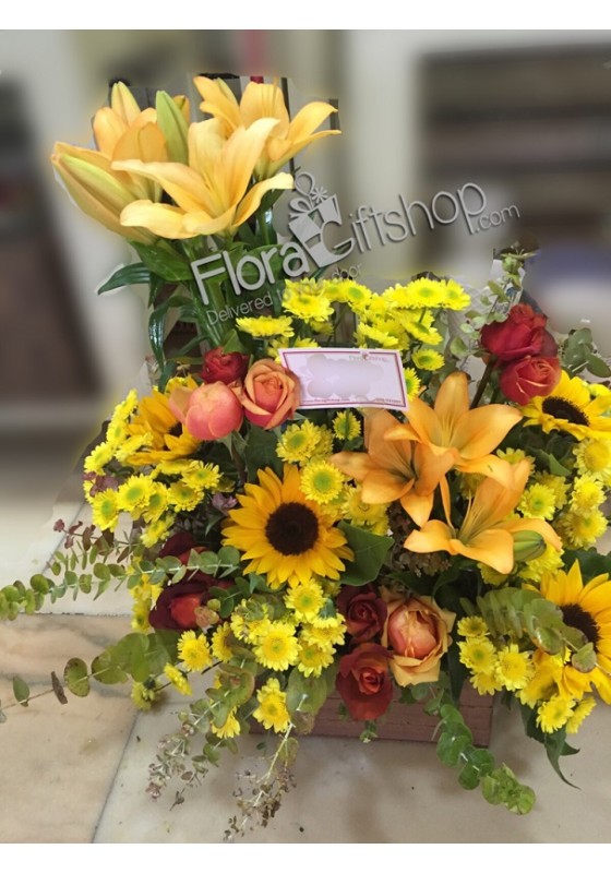 Everyday light Flowers