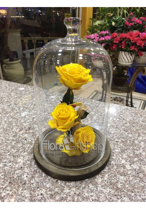 3 Forever Roses - Medium Vase