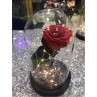 Forever Roses - Lighting Vase
