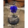 Forever Roses - Lighting Vase