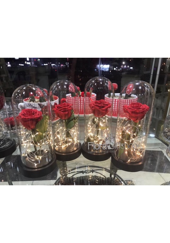 Forever Roses - Lighting Vase