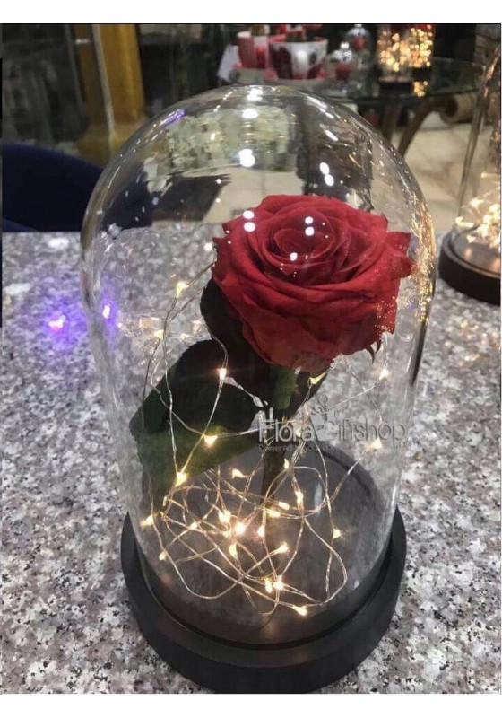 Forever Roses - Lighting Vase