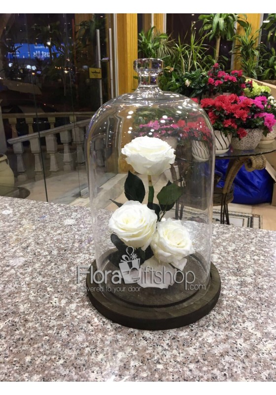 3 Forever Roses - Medium Vase