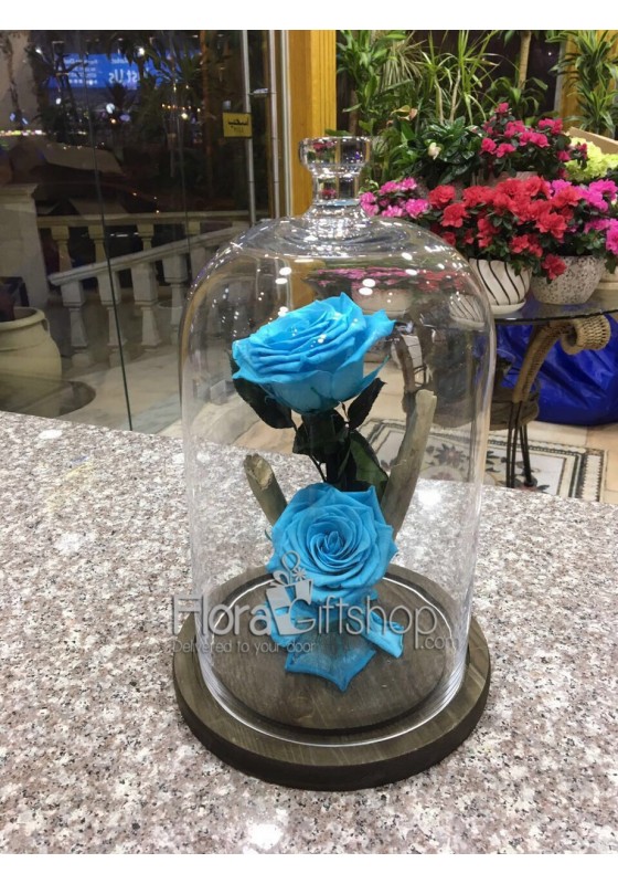3 Forever Roses - Medium Vase