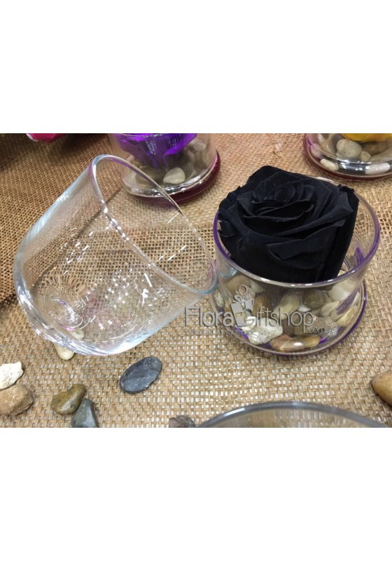 Forever Roses - Plate Vase