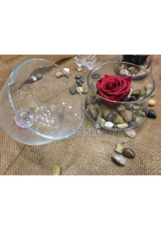 Forever Roses - Plate Vase