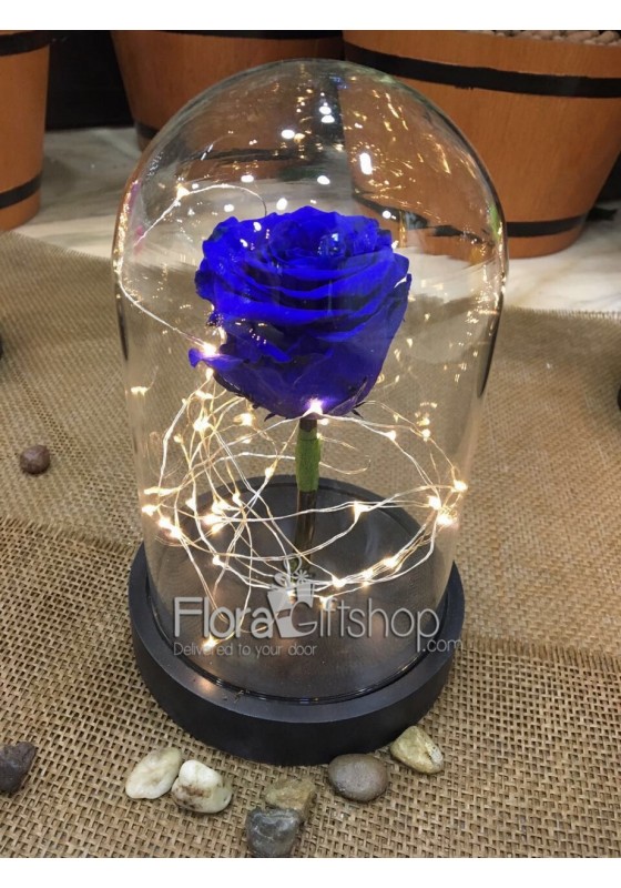 Forever Roses - Lighting Vase