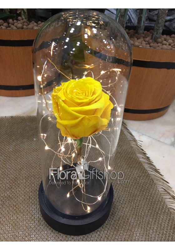 Forever Roses - Lighting Vase