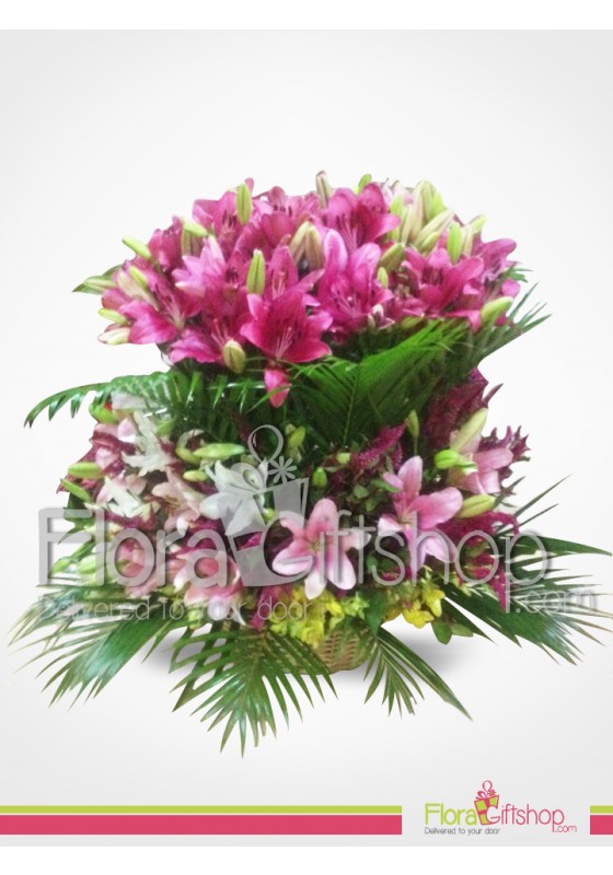 Royal lily