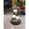 3 Forever Roses - Medium Vase