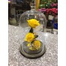 3 Forever Roses - Medium Vase