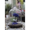 Forever Roses - Medium Vase