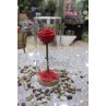 Forever Roses - Red