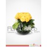 Golden Sunshine Flowers